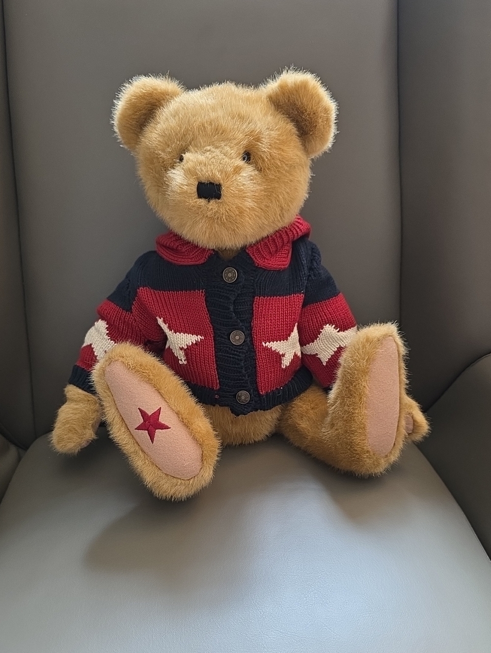 Boyds Retired Soft Dee C Washington Musical Bear
